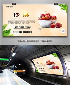沙果海报易拉宝展板挂画展架单页