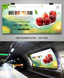 毛桃单页展板展架灯箱易拉宝海报