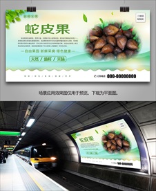 蛇皮果易拉宝展板展架灯箱海报