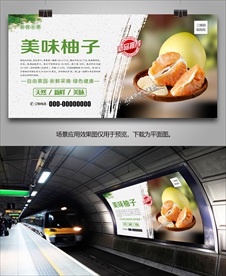 柚子单页展架挂画易拉宝展板灯箱