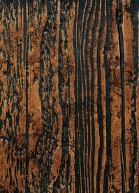 高清天然木纹贴图木板地板