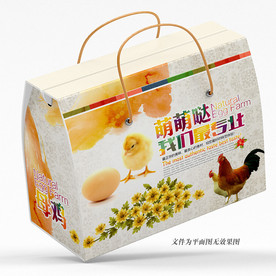 鸡蛋 鸡肉 包装