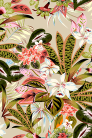 热带元素三比一