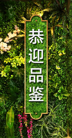 绿植墙 地产