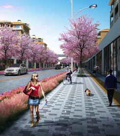 樱花洋紫荆道路绿化景观设计