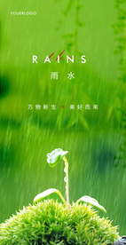 雨水