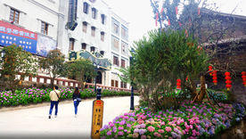 街道绣球花境景观设计