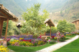 乡村花境景观设计效果图