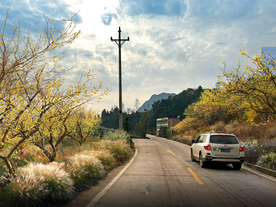 腊梅花海景观设计效果图