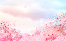 粉色装饰花朵