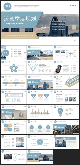 商务会议汇报项目介绍PPT