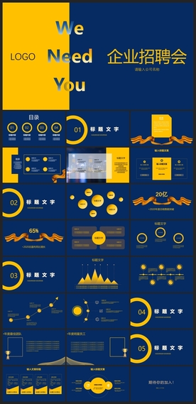 商务会议汇报项目介绍PPT