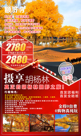 胡杨林旅游海报