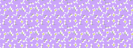 碎花