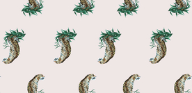 豹