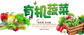有机蔬菜