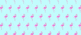 火烈鸟