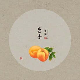 手绘杏