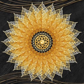 太阳花装饰画