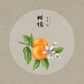 手绘橘子