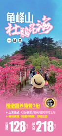 龟峰山杜鹃花海