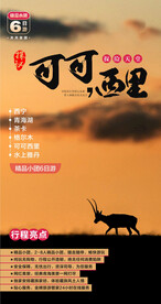 探秘可可西里