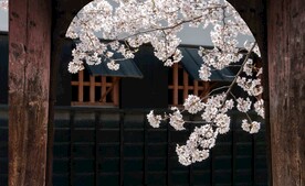 装饰画