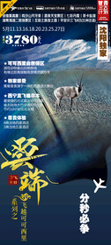 飞跃可可西里海报图片