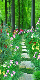 树林石路3D玄关壁画背景墙