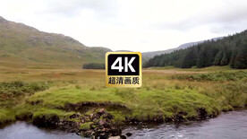 旅拍素材草原上吃草的麋鹿