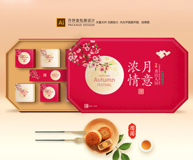 月饼包装 月饼礼盒