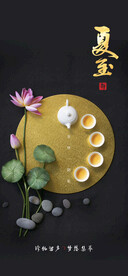金色茶 夏至