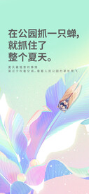 夏至贴片