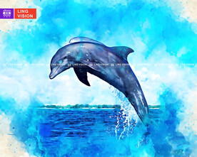 海豚