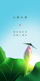 24节气小暑