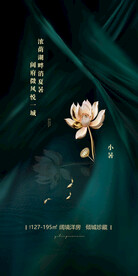 小暑节气海报