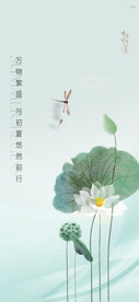 夏天的单屏