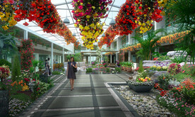 大棚效果图花海效果图景观效果图