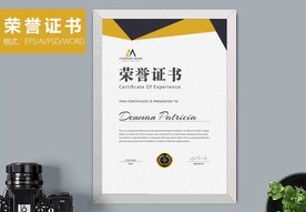 荣誉证书时尚竖版证书
