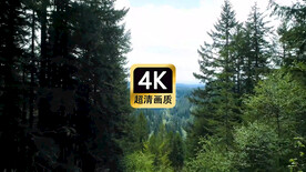 短视频素材航拍茂密的山林