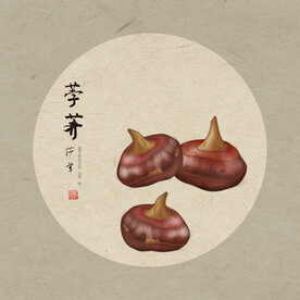 手绘荸荠
