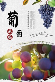 葡萄采摘