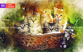 猫
