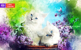 猫