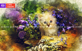 小猫