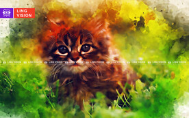 小猫咪