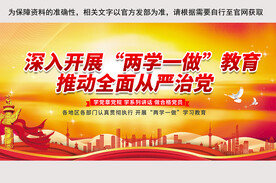 两学一做党建