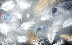 彩色羽毛