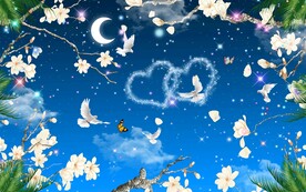 玉兰花