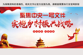  中央一号文件